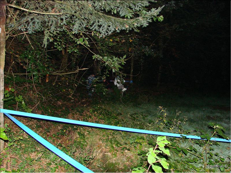 DSC02013