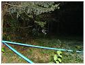 DSC02013