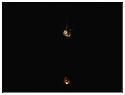 Photo0011